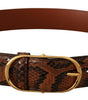 Dolce & Gabbana Brown Exotic Leather Gold Oval Buckle Belt