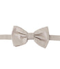 Dolce &amp; Gabbana Exquisite Silk Gray Bow Tie