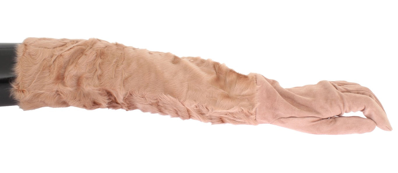 Gants élégants en daim beige Dolce &amp; Gabbana jusqu'aux coudes