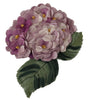 Dolce & Gabbana Purple Floral Gold Tone Brass Women Brooch