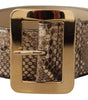 Dolce & Gabbana Brown Exotic Wide Waist Leather Gold Metal Buckle Belt