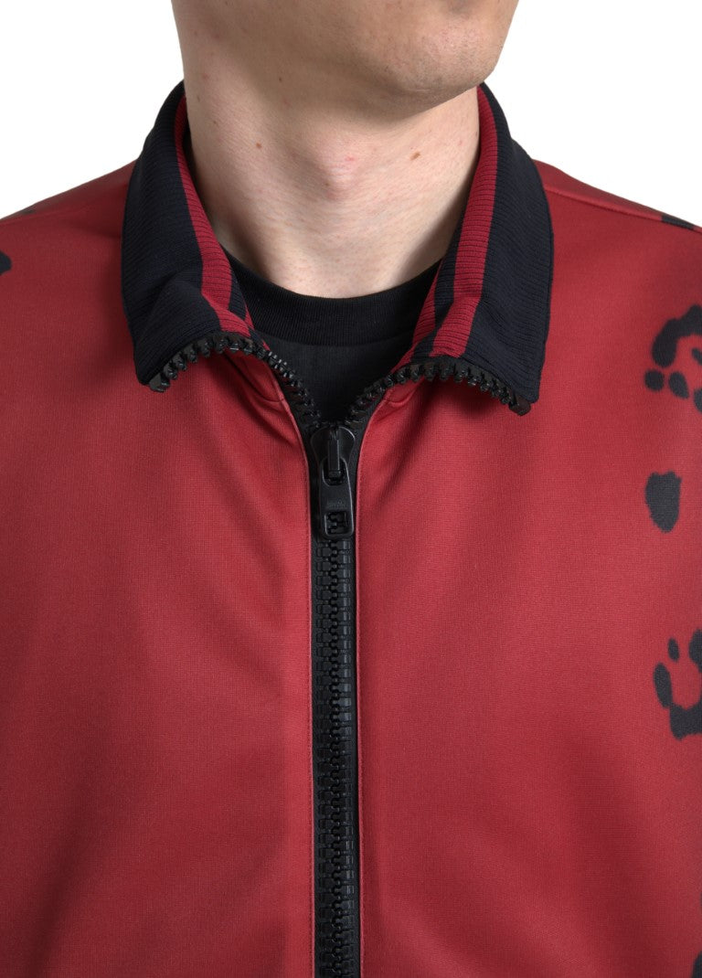 Blouson aviateur rouge à imprimé léopard Dolce &amp; Gabbana