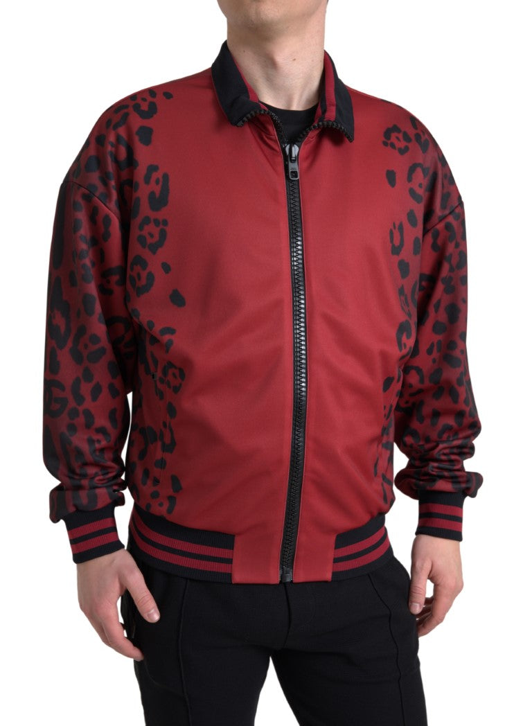 Blouson aviateur rouge à imprimé léopard Dolce &amp; Gabbana