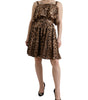 Dolce & Gabbana Brown Leopard Print Sleeveless A-line Dress