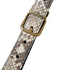 Dolce & Gabbana Brown Python Leather Gold Metal Buckle Belt