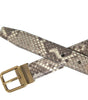 Dolce & Gabbana Brown Python Leather Gold Metal Buckle Belt