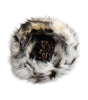 Dolce & Gabbana Multicolor Acrylic Fur Women Bucket Hat