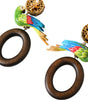 Dolce & Gabbana Multicolor Parrot Wood Brass Crystal Embellished Earrings