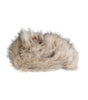 Dolce & Gabbana Beige Acrylic Fur Women Bucket Hat