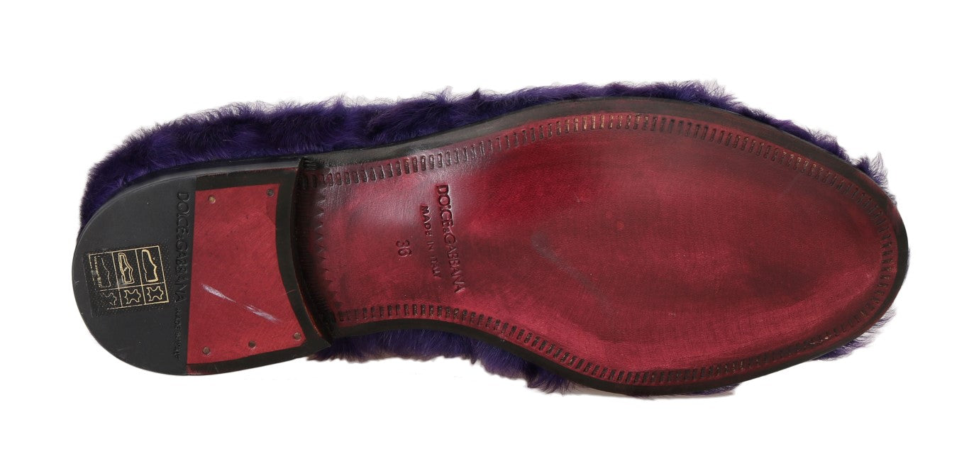 Mocassins en fourrure de mouton violet en peluche Dolce & Gabbana