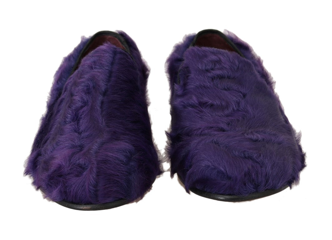 Mocassins en fourrure de mouton violet en peluche Dolce & Gabbana
