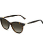 Jimmy Choo Brown Haircalf Sunglasses