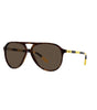 Ralph Lauren Brown Acetate Sunglasses