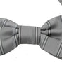 Dolce & Gabbana Light Gray Lining Adjustable Neck Butterfly Bow Tie