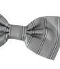Dolce & Gabbana Light Gray Lining Adjustable Neck Butterfly Bow Tie