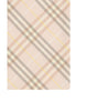 Burberry's silk scarf