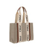 Sac à bandoulière Chloé Woody