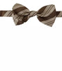 Dolce & Gabbana Multicolor Patterned Adjustable Neck Bow Tie Men