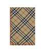Burberry Check Archive silk Scarf