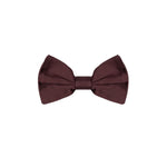 Dolce &amp; Gabbana Burgundy Silk Bowty