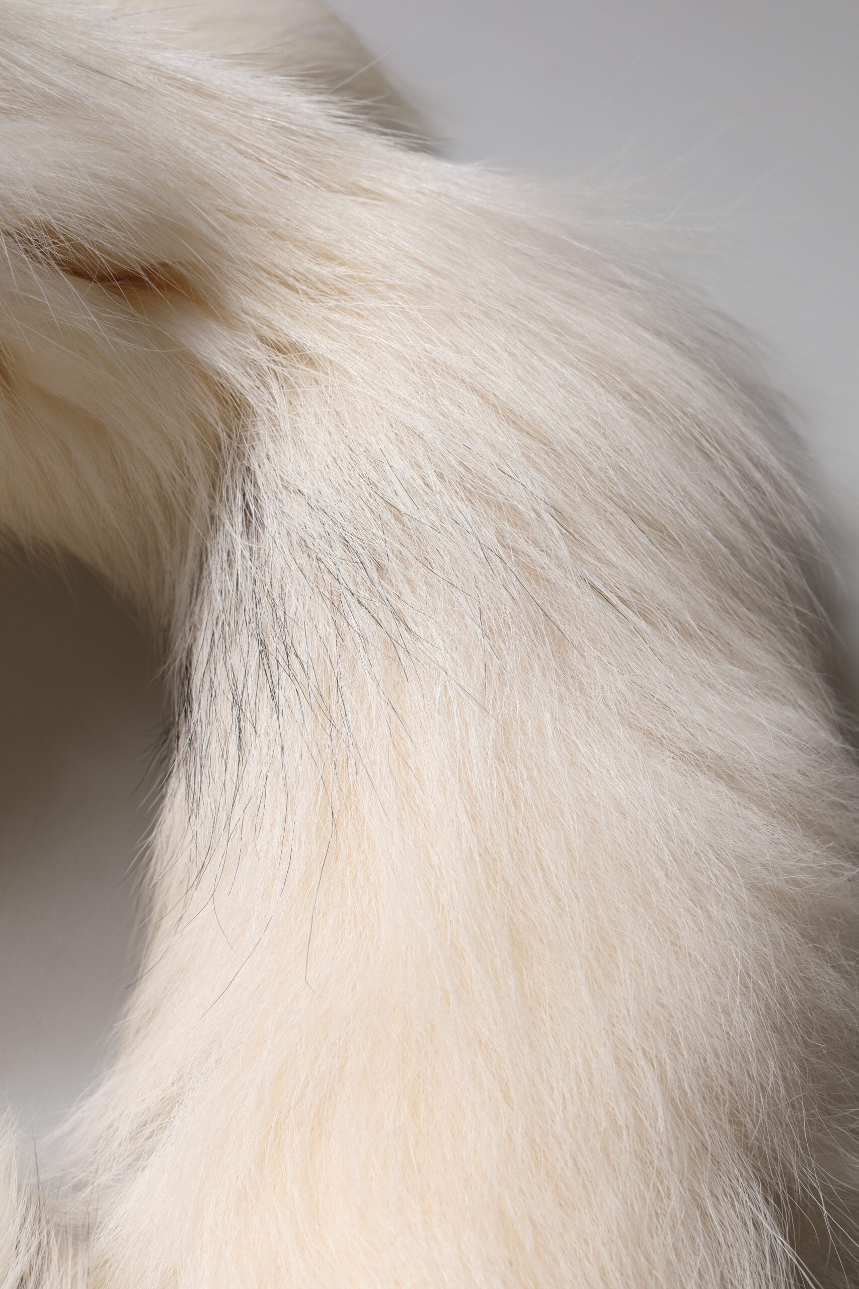 Dolce &amp; Gabbana White Fox Fur Neck Wrap Warmer Winter Scarf