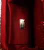 Dolce & Gabbana Red Gold Chain VANDA Tinsel Crystals Evening Clutch Bag