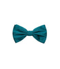Dolce & Gabbana Green Silk Bowty