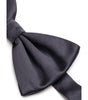Dolce & Gabbana Gray Silk Bowty