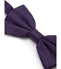 Dolce &amp; Gabbana Purple Silk Bowty