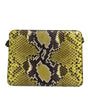 Dolce & Gabbana Green Exotic Leather DG Plaque Crossbody Clutch Bag