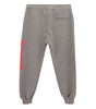Pantalon chic en coton mélangé gris Alexander McQueen