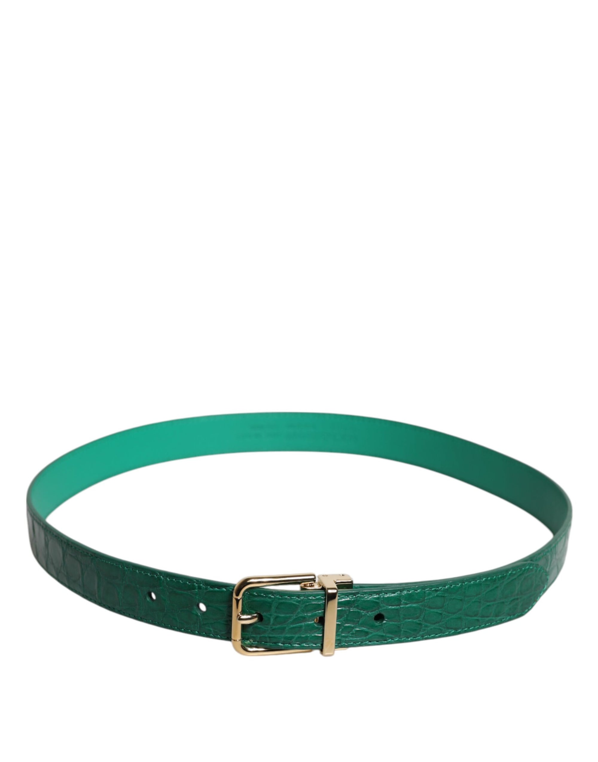 Ceinture à boucle en métal avec logo en cuir vert Dolce &amp; Gabbana