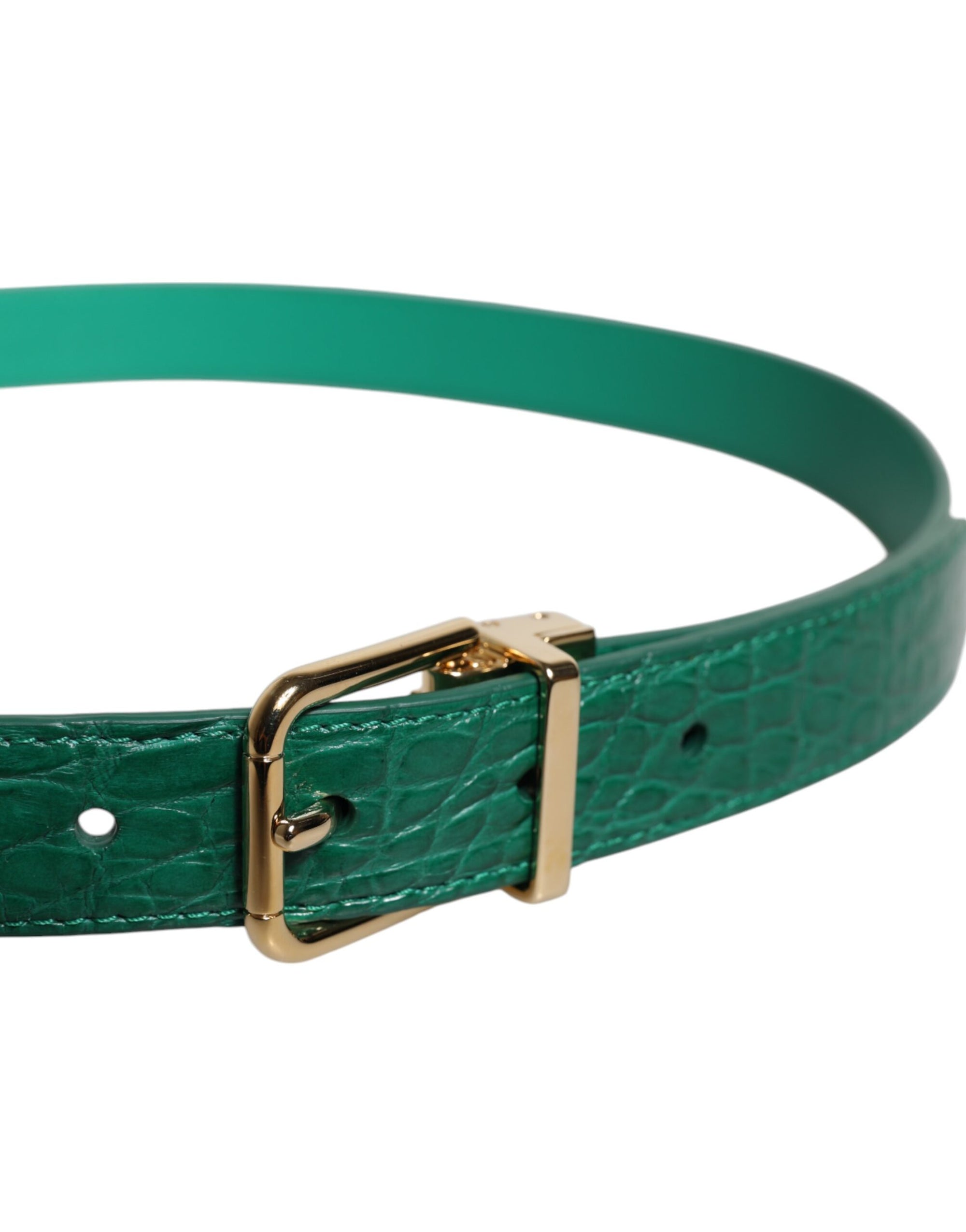 Ceinture à boucle en métal avec logo en cuir vert Dolce &amp; Gabbana