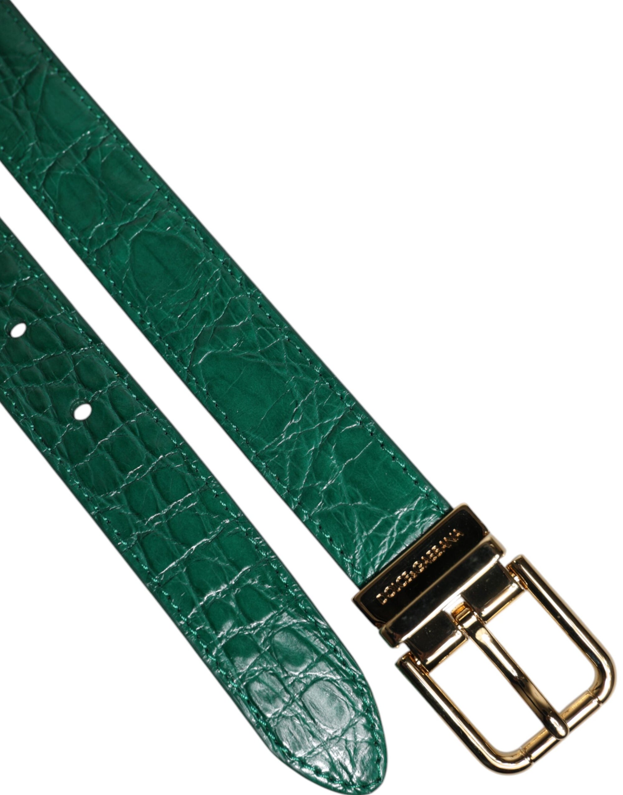 Ceinture à boucle en métal avec logo en cuir vert Dolce &amp; Gabbana