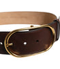Dolce &amp; Gabbana Brown Leather Waist Gold Metal Buckle Belt