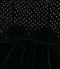 Dolce & Gabbana Green Velvet Crystal Long Maxi Dress