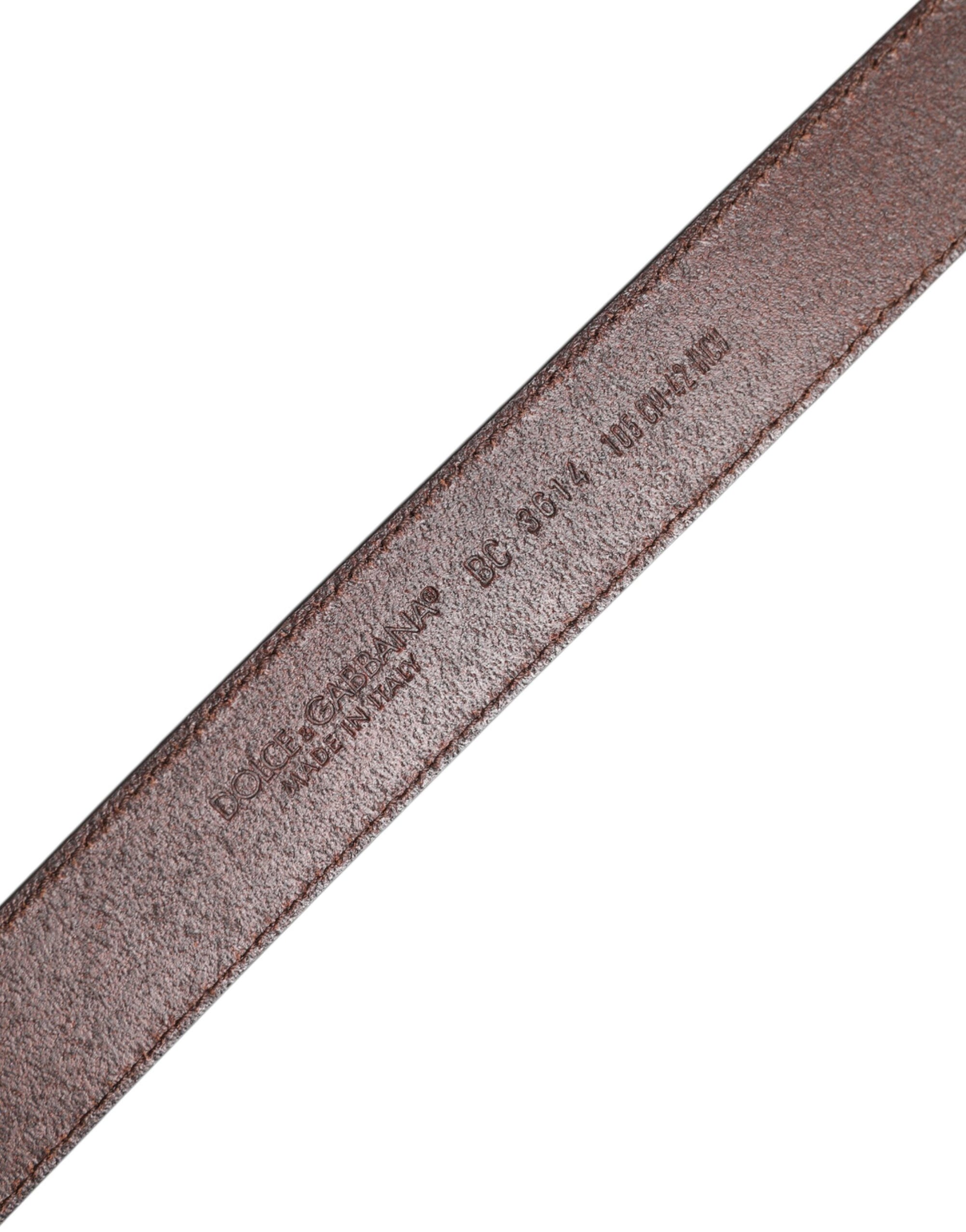 Ceinture classique en cuir de veau marron Dolce & Gabbana avec boucle en métal