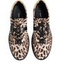 Dolce & Gabbana Brown Leopard Logo Print Cotton Sneakers Shoes