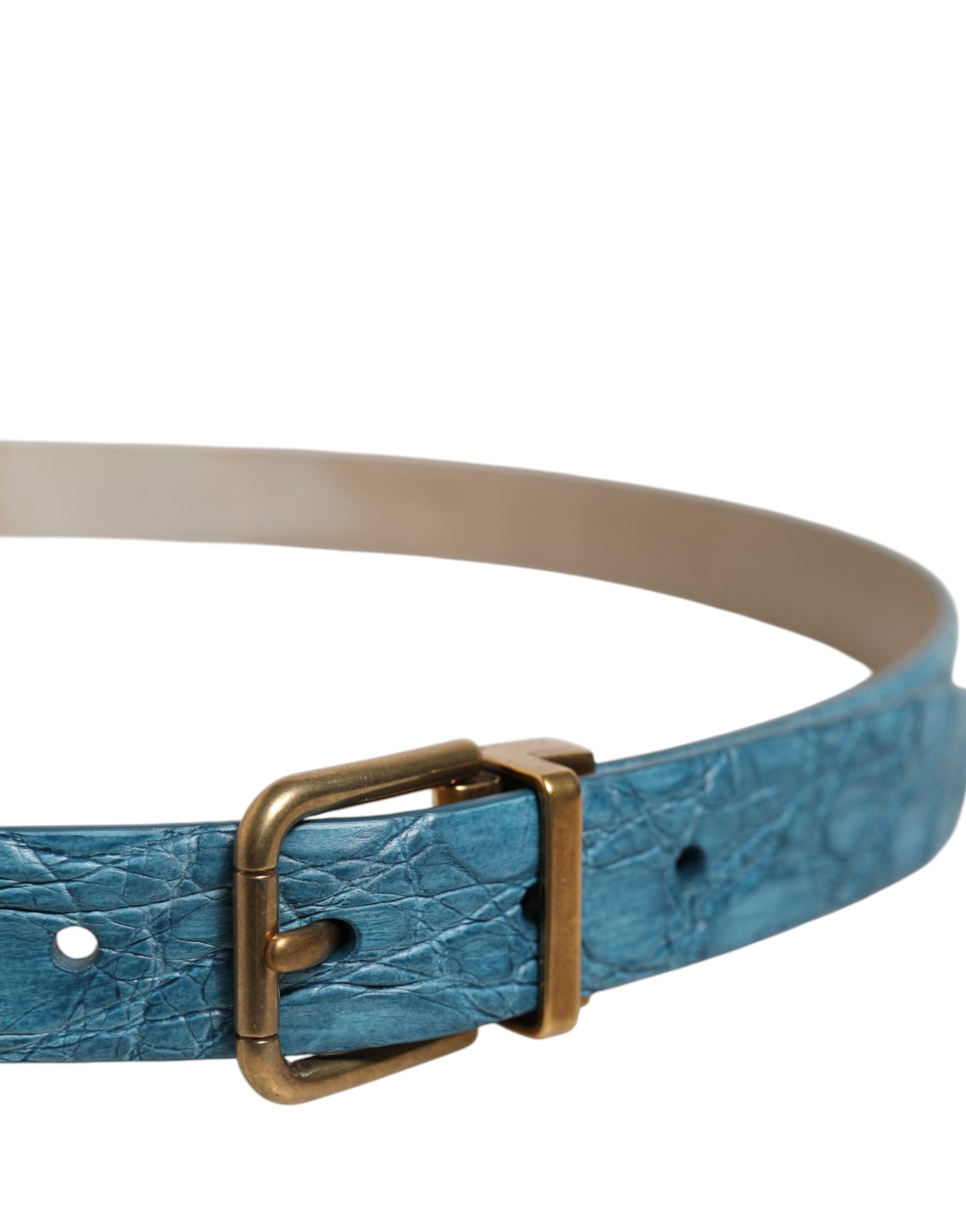 Dolce &amp; Gabbana Blue Leather Classic Gold Metal Buckle Belt