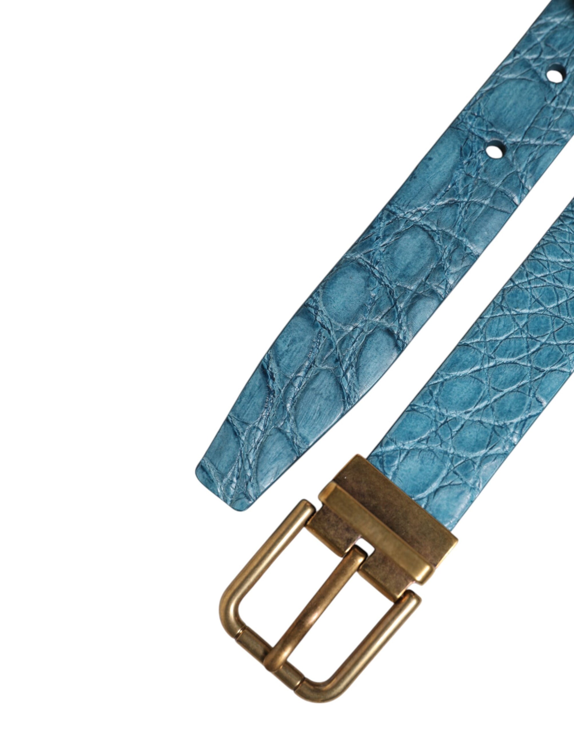 Dolce &amp; Gabbana Blue Leather Classic Gold Metal Buckle Belt