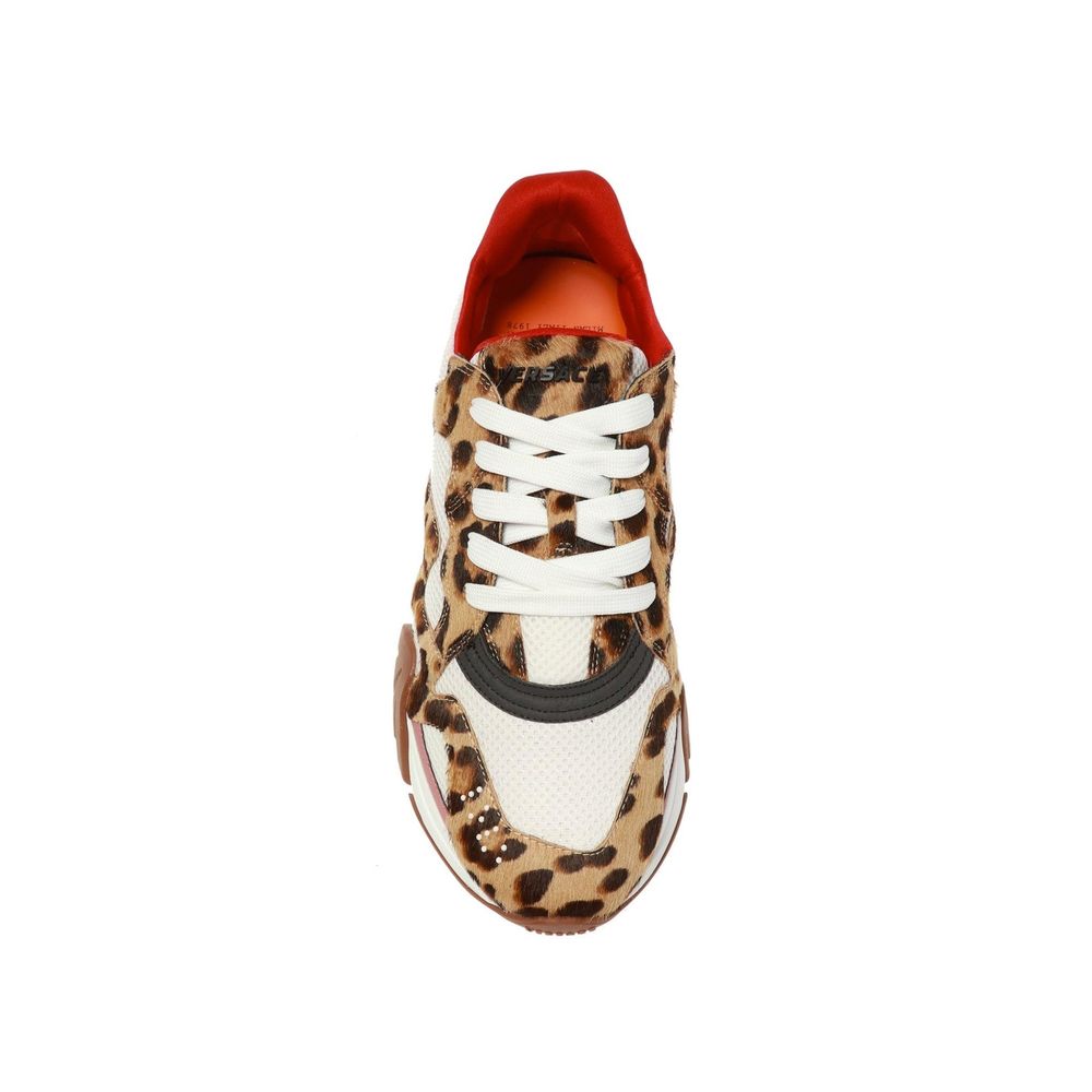 Baskets Versace Squalo léopard