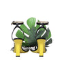 Loewe Petal Monstera Leather Sandals
