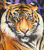 Dolce & Gabbana Multicolor Tiger Print Men Bomber Jacket