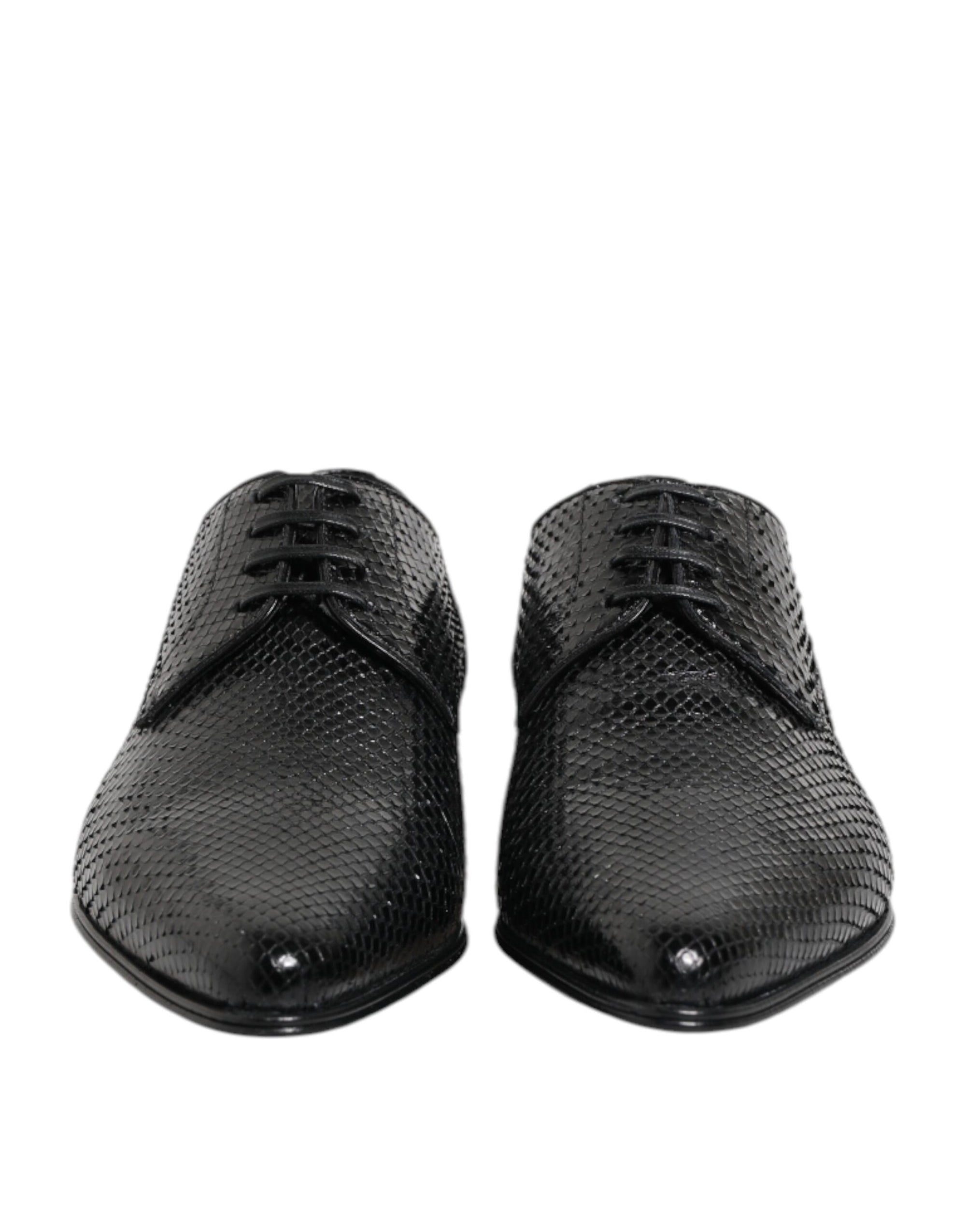 Chaussures Derby à lacets en cuir exotique noir Dolce & Gabbana
