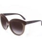 Italia Independent Brown Acetate Sunglasses