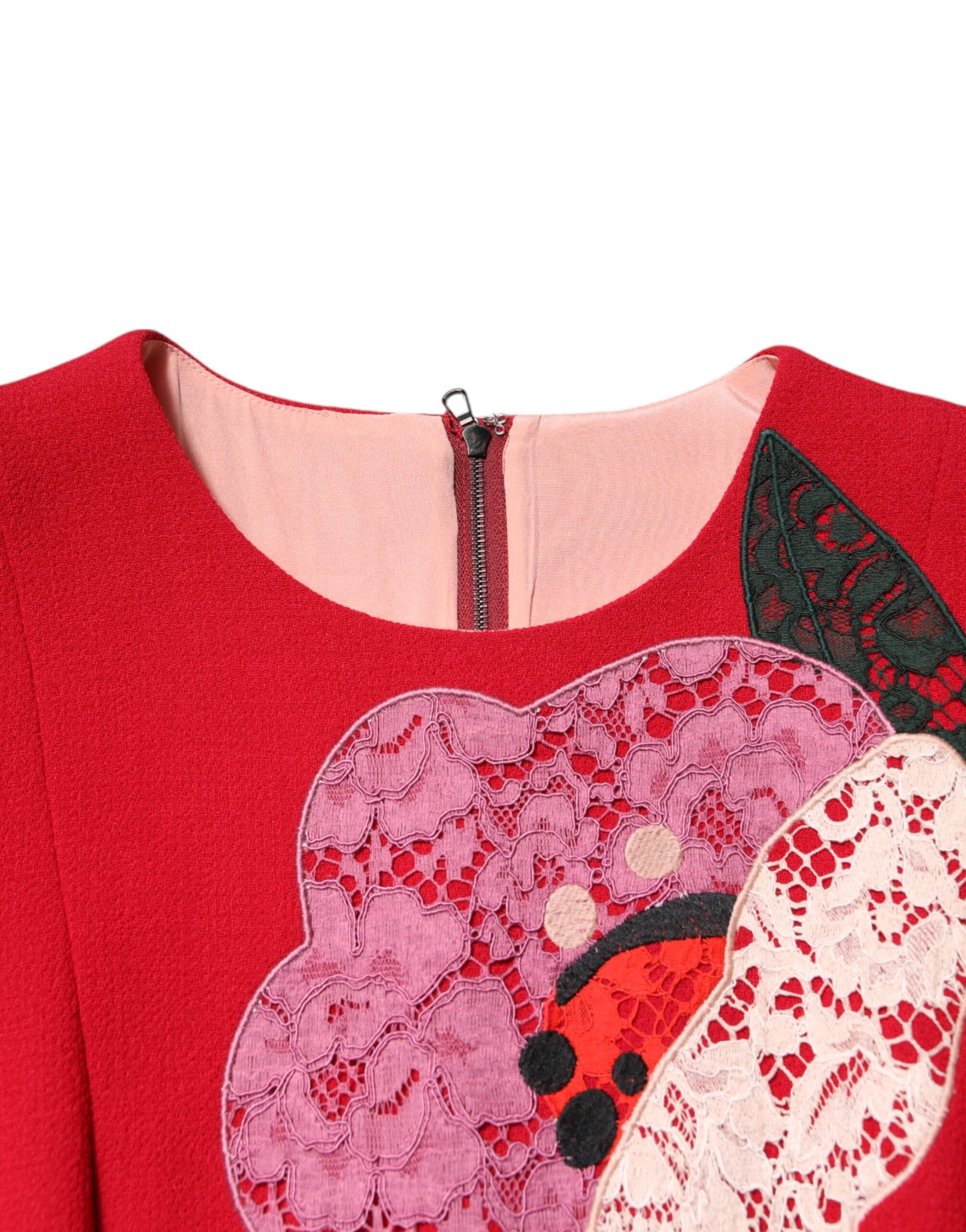 Dolce &amp; Gabbana Red Lace Floral Applique A-line Mini Dress