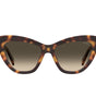 Moschino Brown Acetate Sunglasses