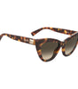 Moschino Brown Acetate Sunglasses